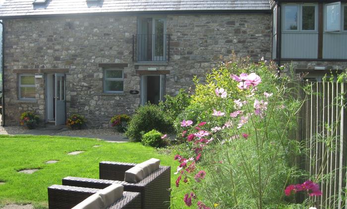 part of garden in summer